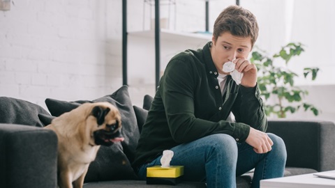 man zit op bank naast hond en is allergisch